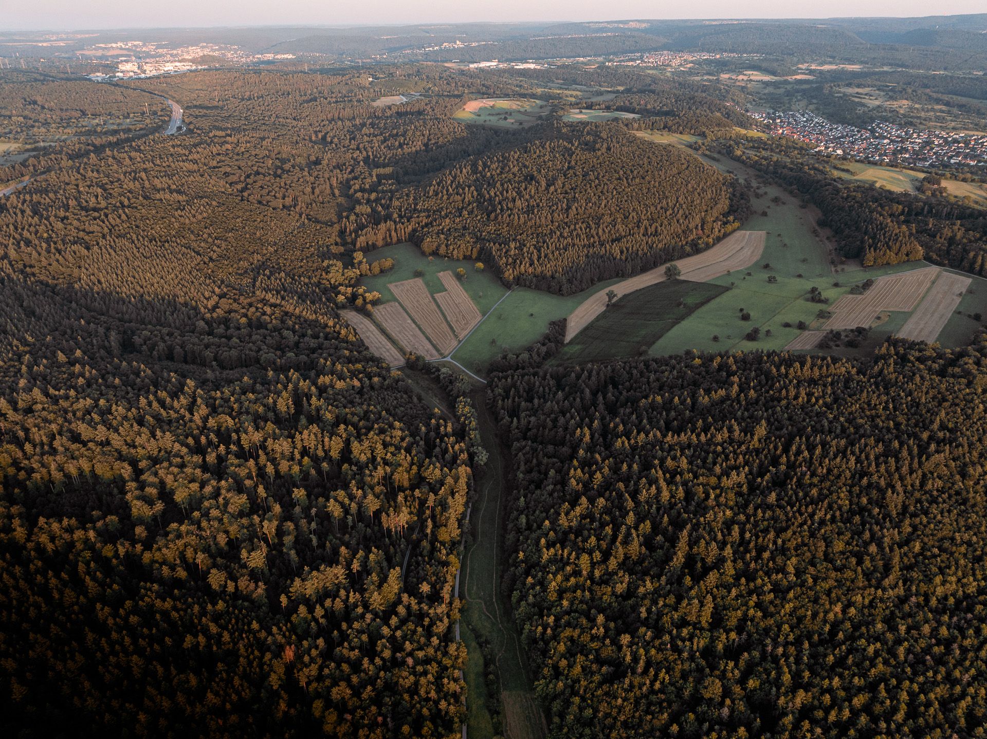 Wald von oben; (c) Gemeinde Remchingen; Felix Buderer