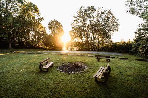 Wiese an der Bärenhütte