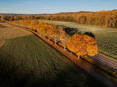 Radweg zwischen Wilferdingen und Nöttingen