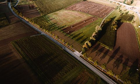 Felder am Radweg nach Nöttingen